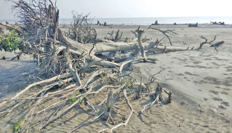 New Age | Erosion threatens coastal areas