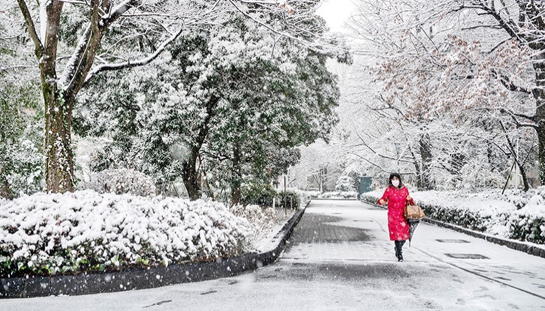 Record heavy snow disrupts Tokyo transit, including flights 