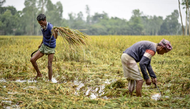 New Age | Flood turns severe in several Bangladesh districts